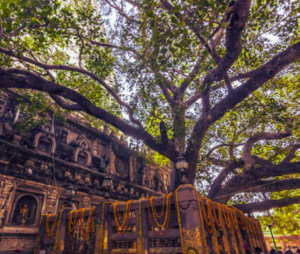 Mahabodhi temple