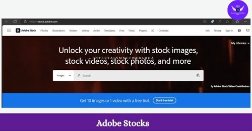 Adobe Stock