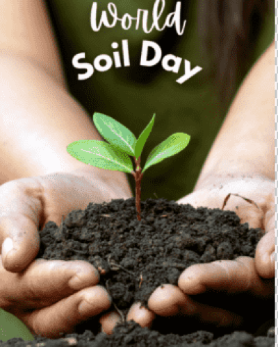 World Soil Day